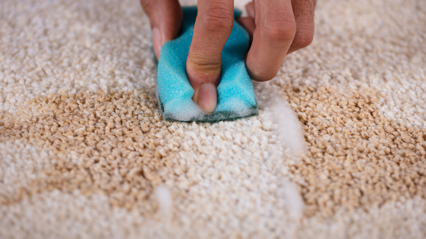 A person cleaning a carpet with a blue sponge